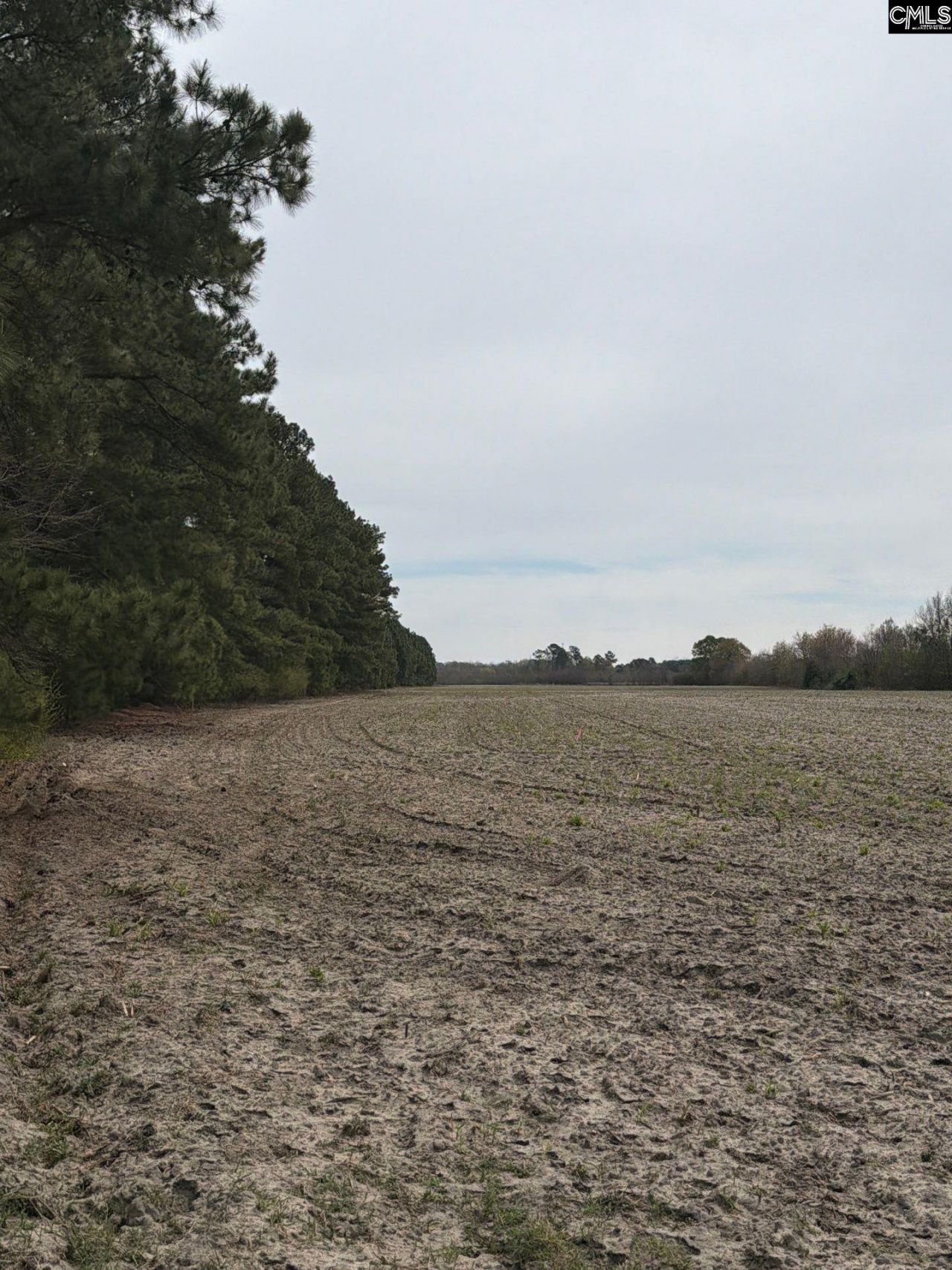 Mta 5 Heustess Road Photo 42