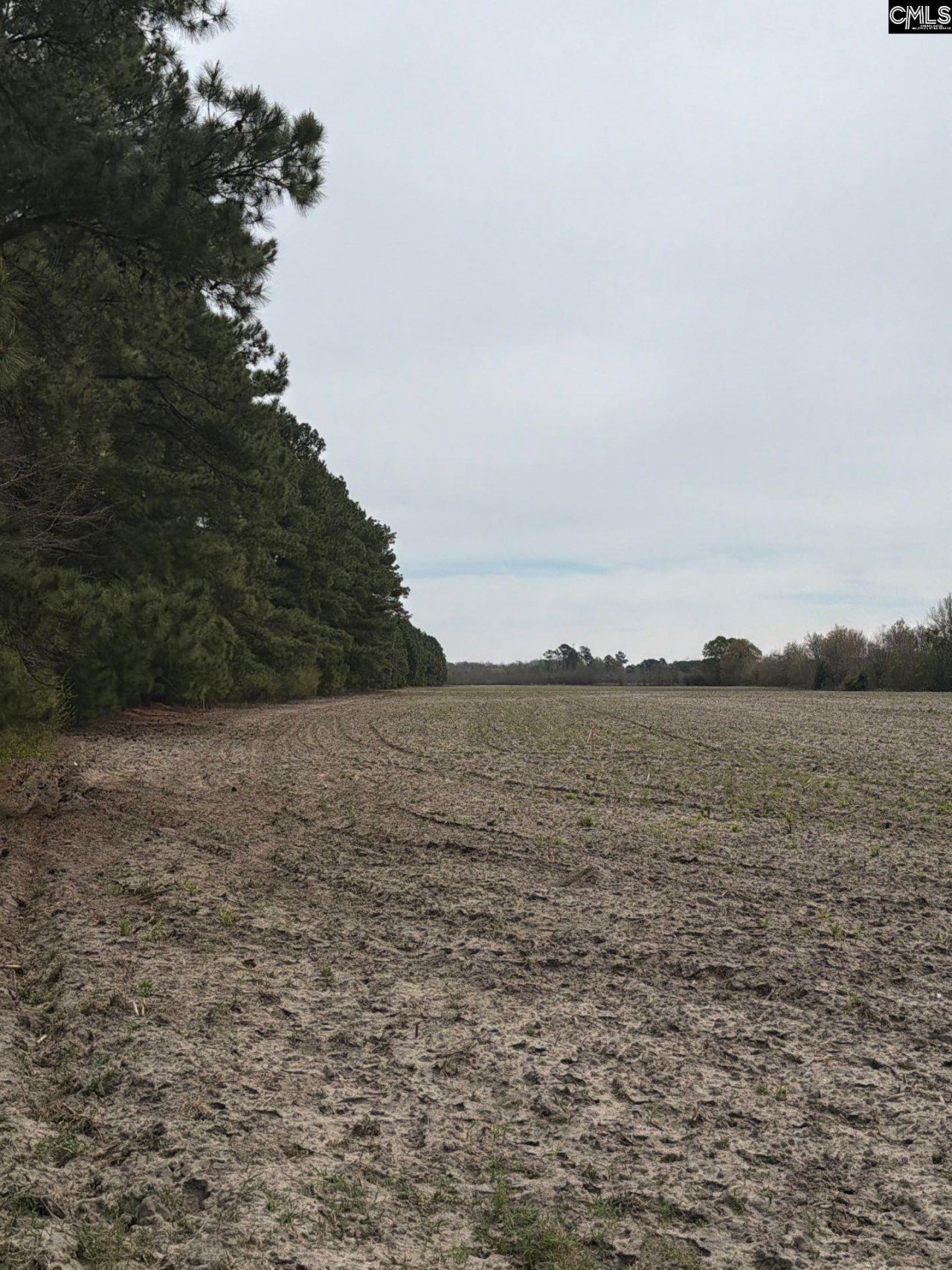 Mta 5 Heustess Road Photo 43