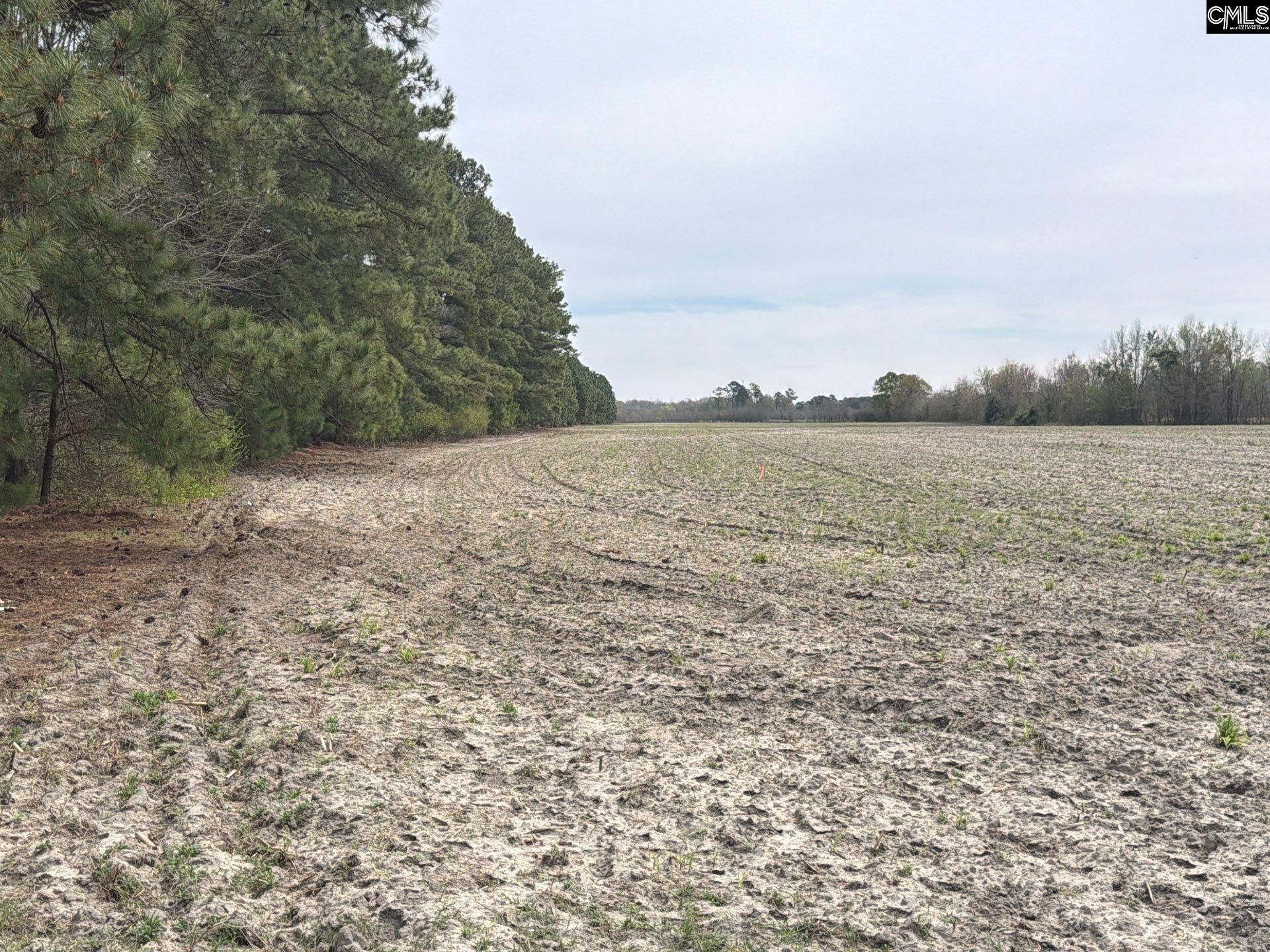 Mta 5 Heustess Road Photo 44