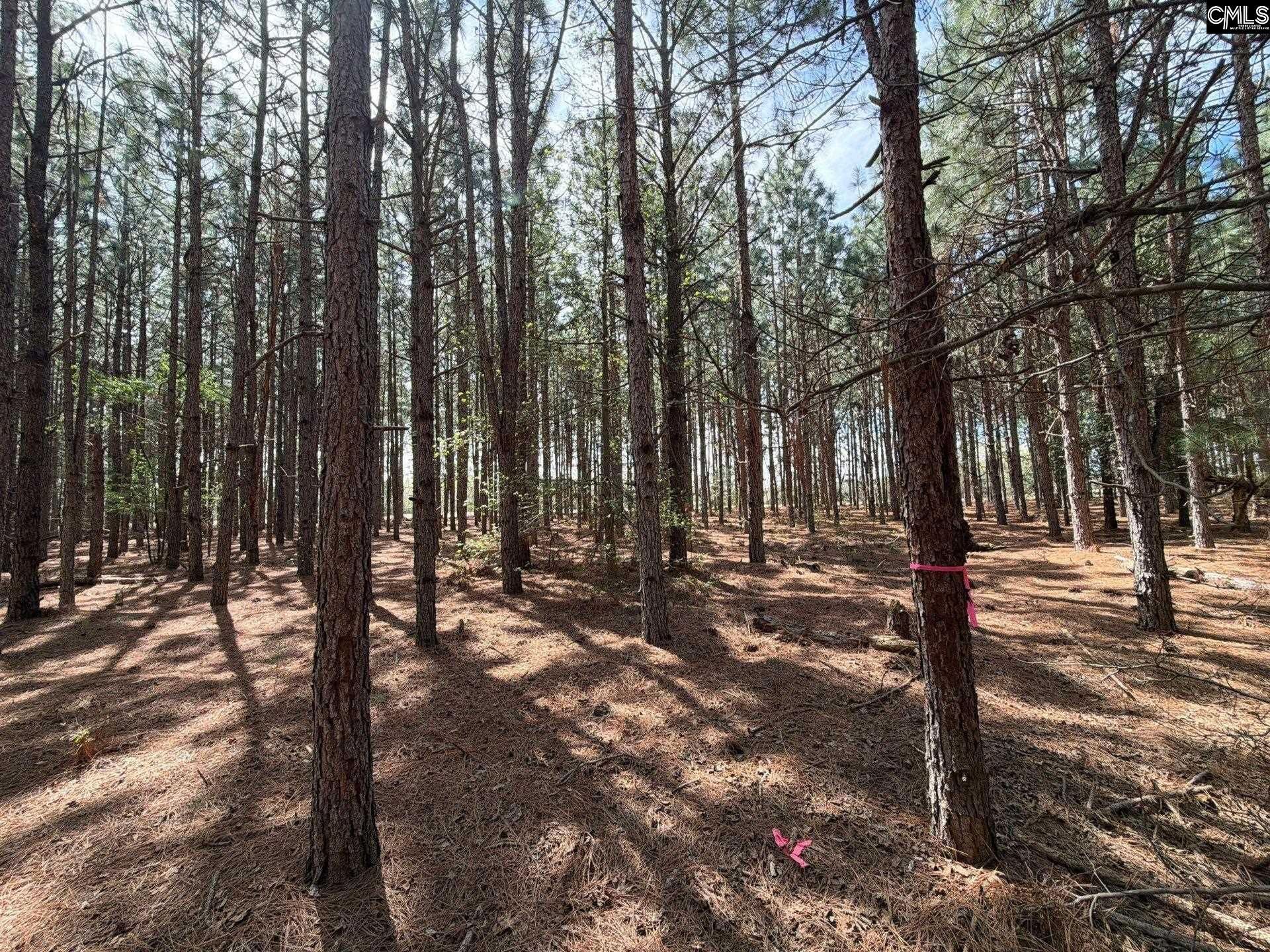 Mta 5 Heustess Road Photo 5