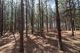 Mta 5 Heustess Road photo 4