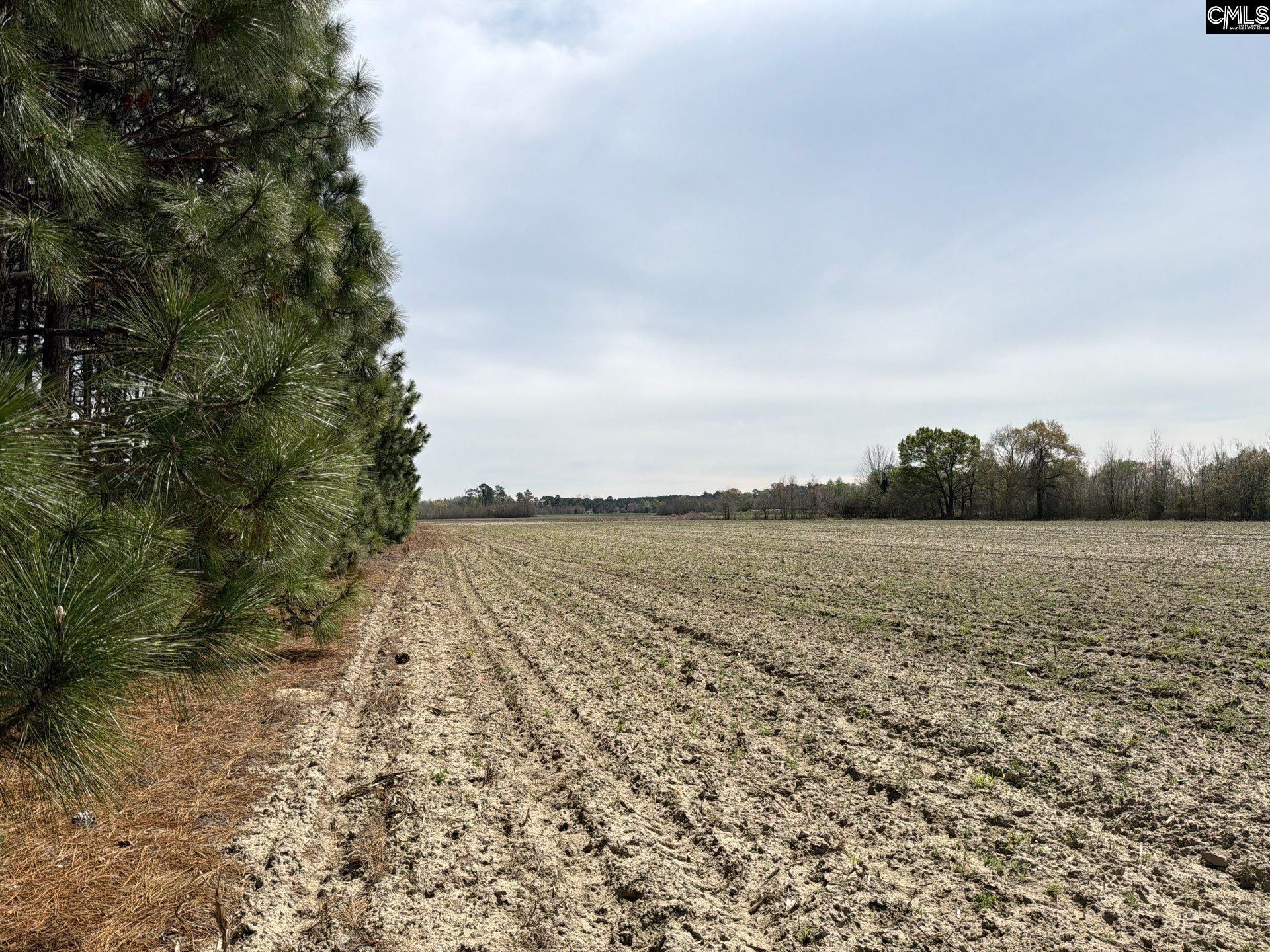 Mta 5 Heustess Road Photo 6