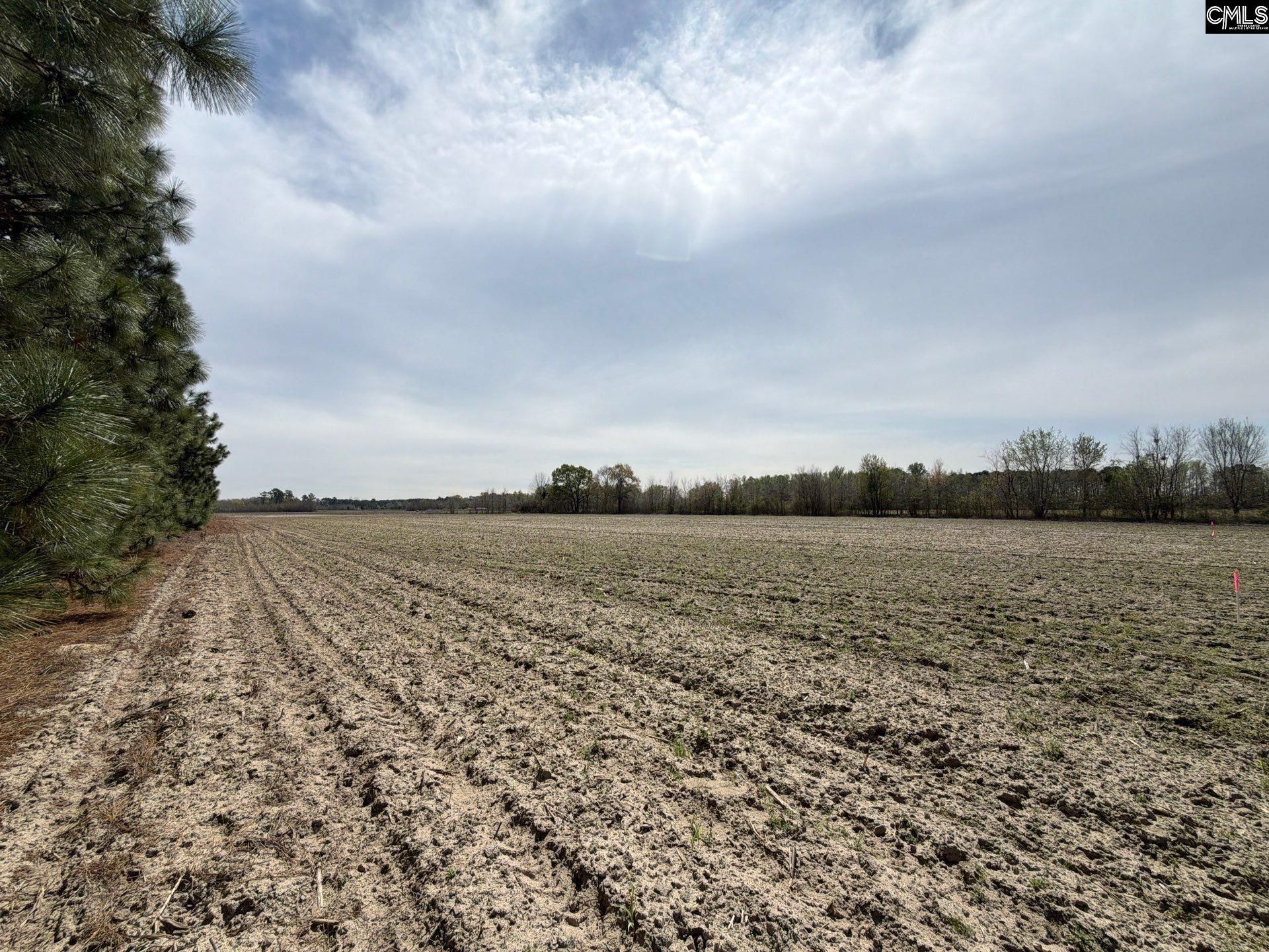 Mta 5 Heustess Road Photo 7