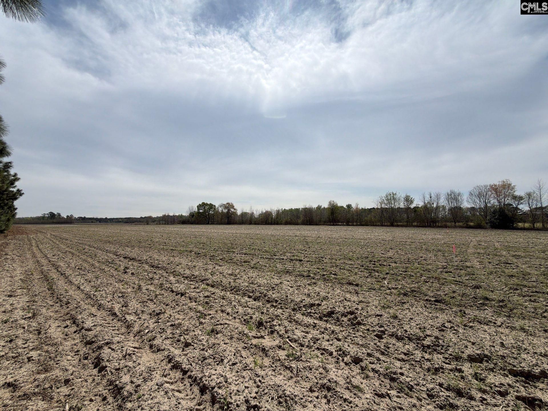 Mta 5 Heustess Road Photo 8