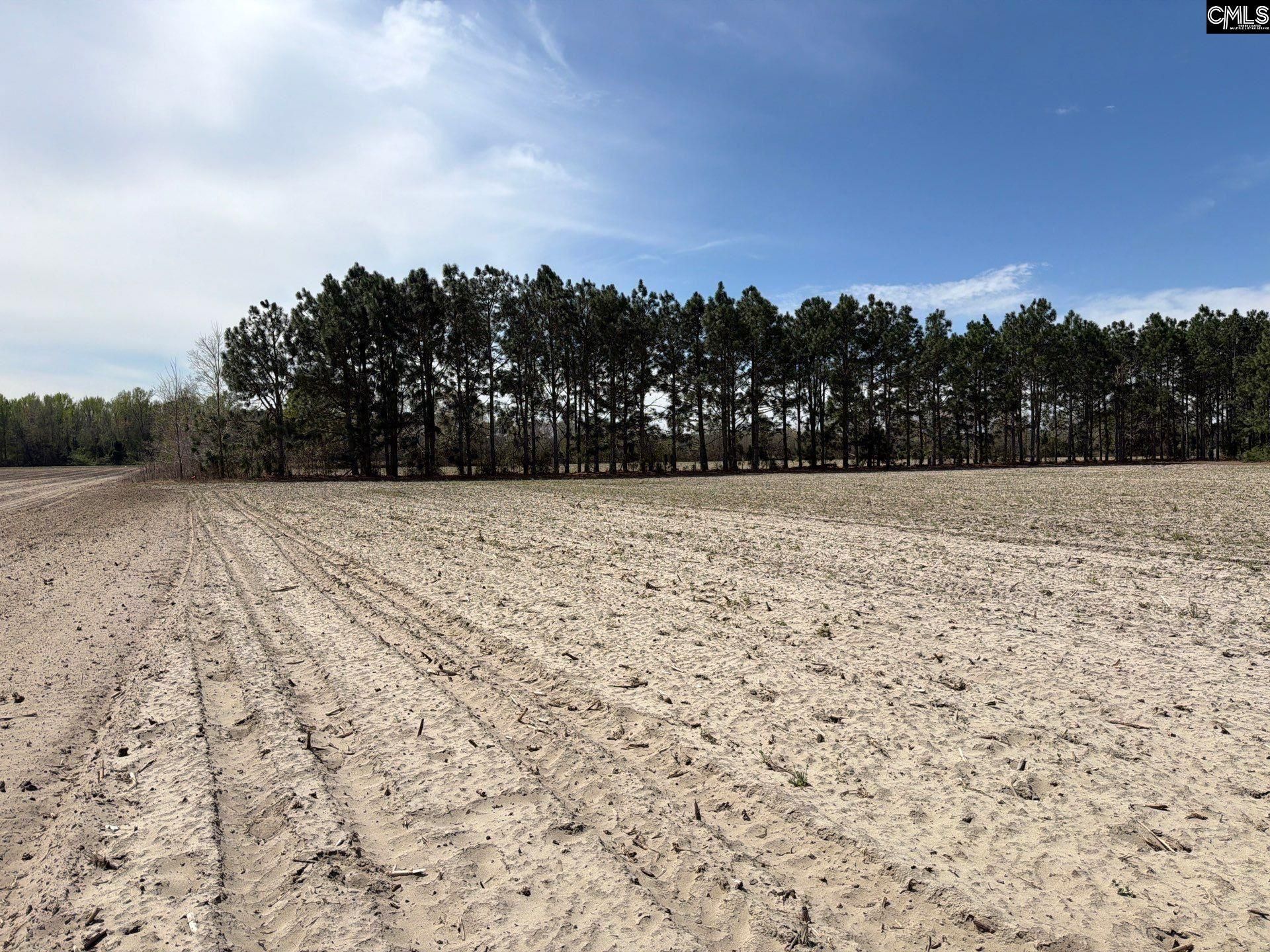 Mta 5 Heustess Road Photo 9