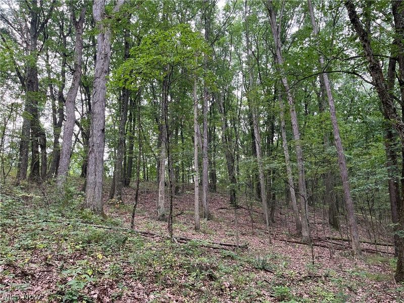 1368 Andora Road NE, Carrollton, OH 44615 Photo 32