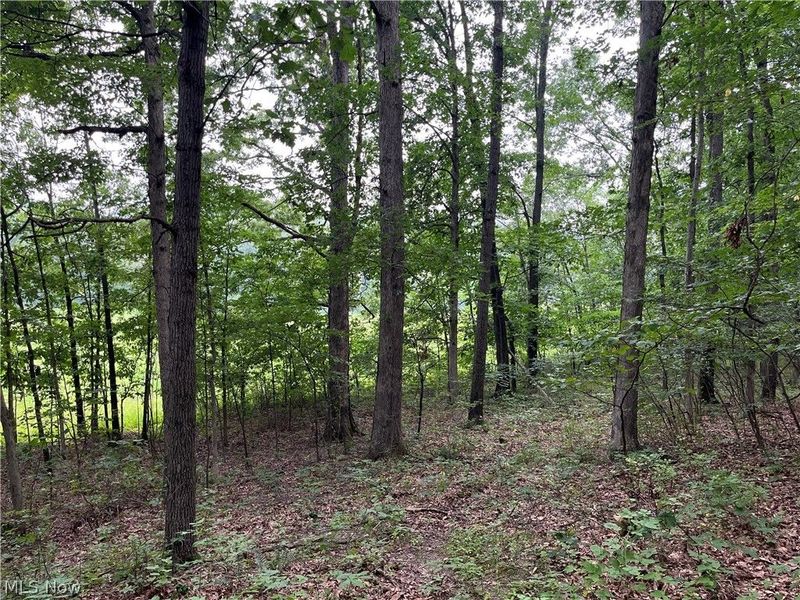 1368 Andora Road NE, Carrollton, OH 44615 Photo 34