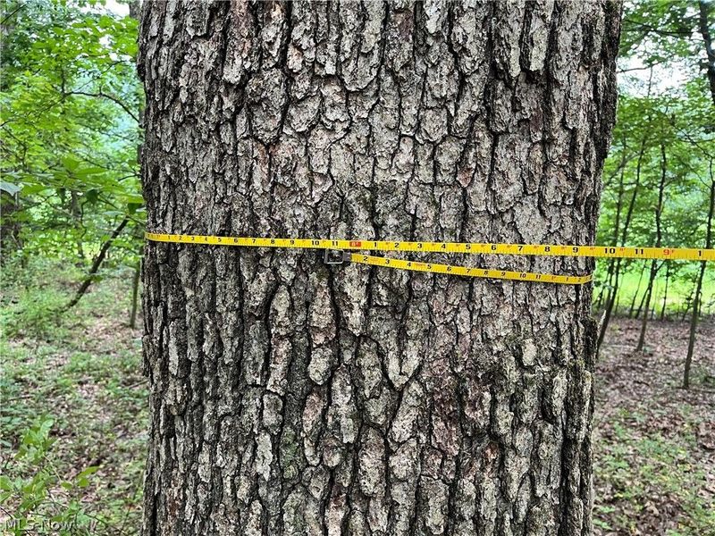 1368 Andora Road NE, Carrollton, OH 44615 Photo 35