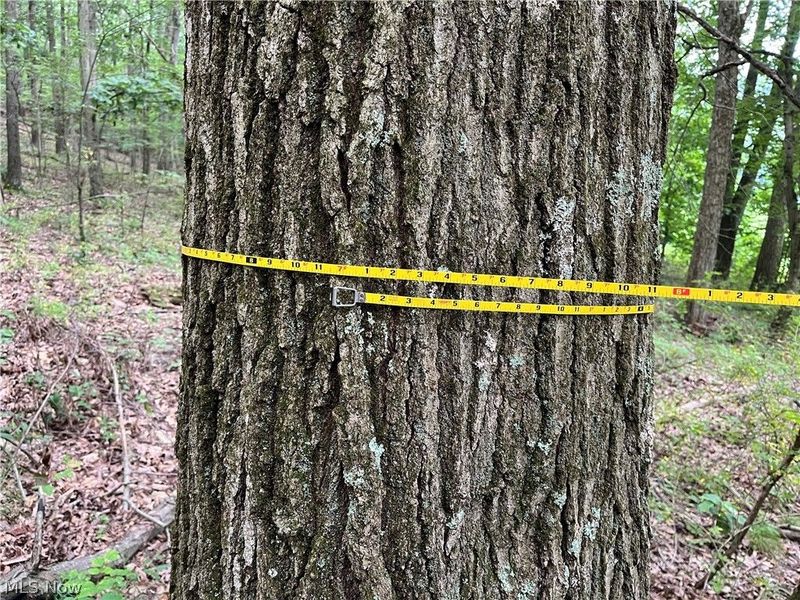 1368 Andora Road NE, Carrollton, OH 44615 Photo 36