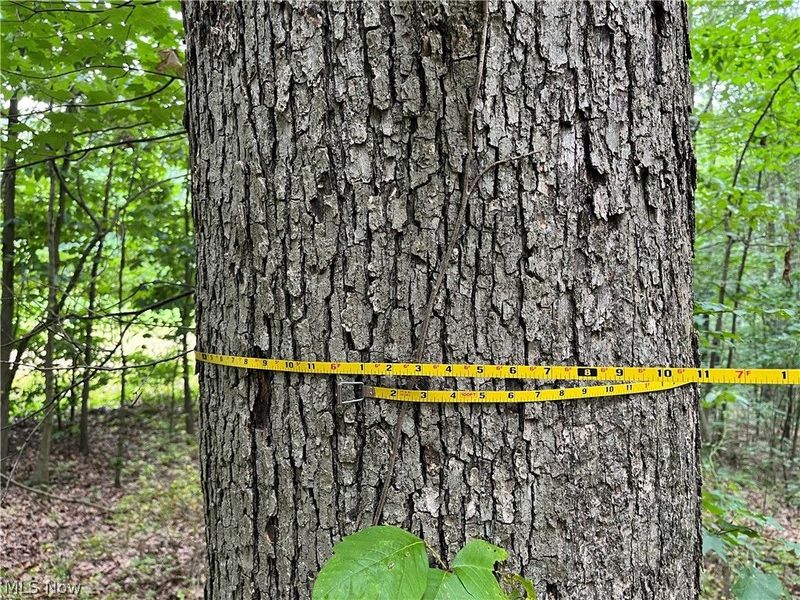 1368 Andora Road NE, Carrollton, OH 44615 Photo 37