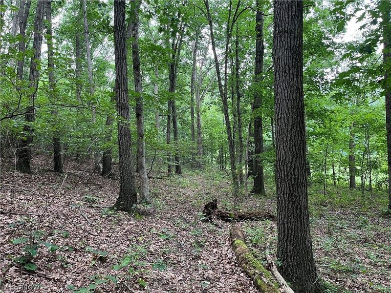 1368 Andora Road NE, Carrollton, OH 44615 Photo 42