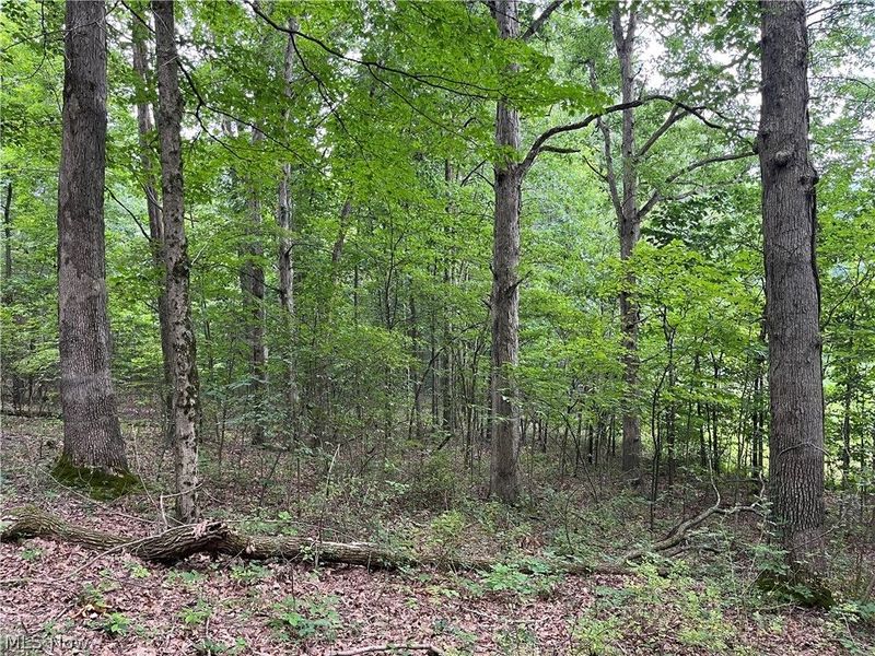 1368 Andora Road NE, Carrollton, OH 44615 Photo 43