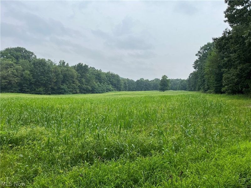 1368 Andora Road NE, Carrollton, OH 44615 Photo 44