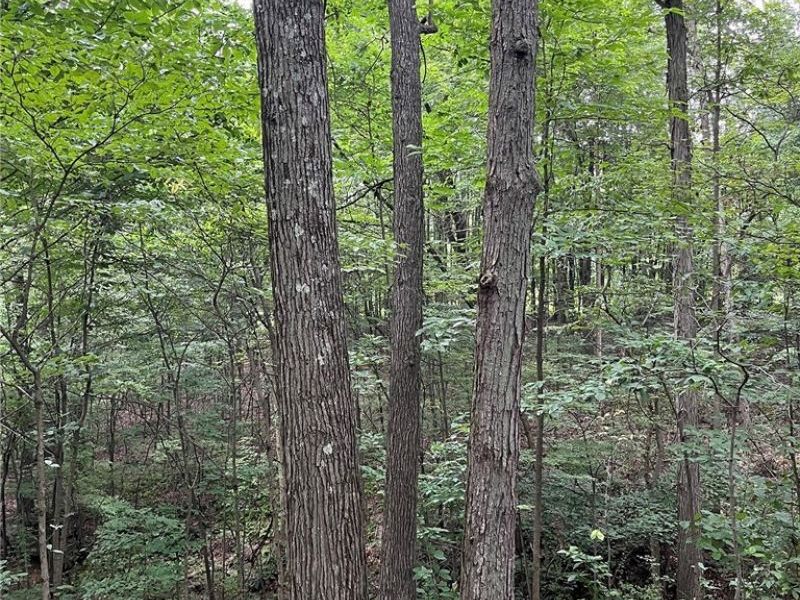 1368 Andora Road NE, Carrollton, OH 44615 Photo 46