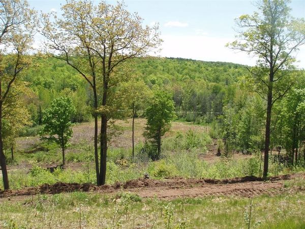 Lot 1 On Highway 169, Mellen, WI 54546