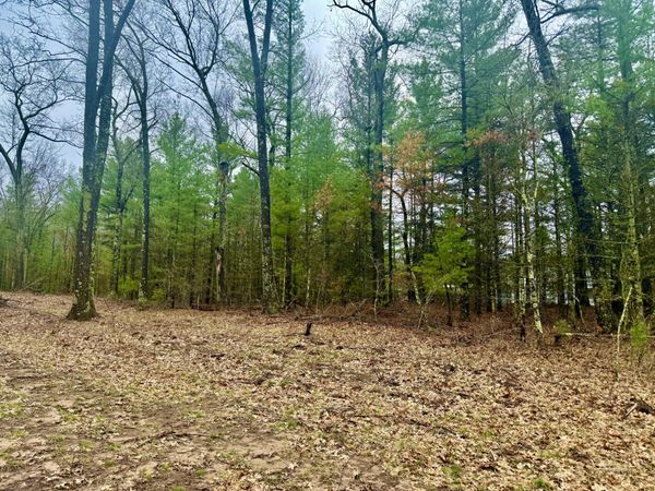 1127 Chicago Drive, Unit 19, Whitehall, MI 49461