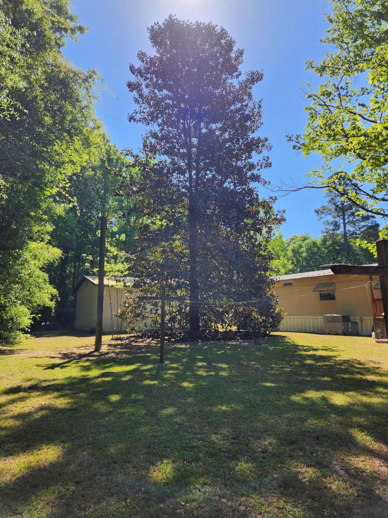 1185 Krissy Street Photo 17