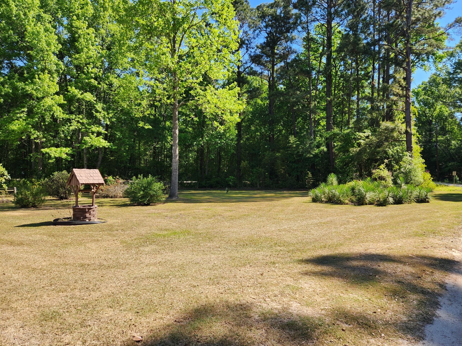 1185 Krissy Street Photo 9