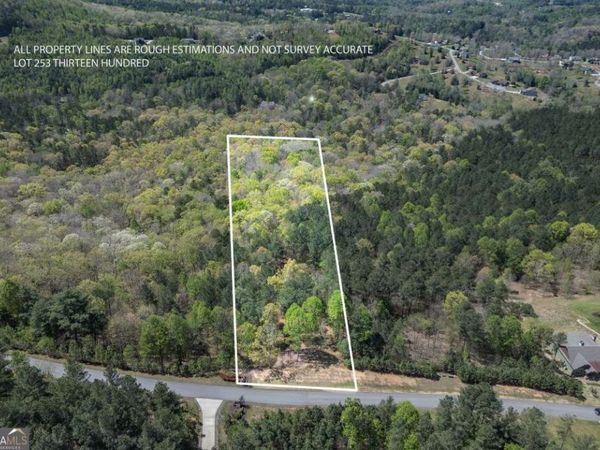 LOT 253 The Cove @ 1300, Blairsville, GA 30512