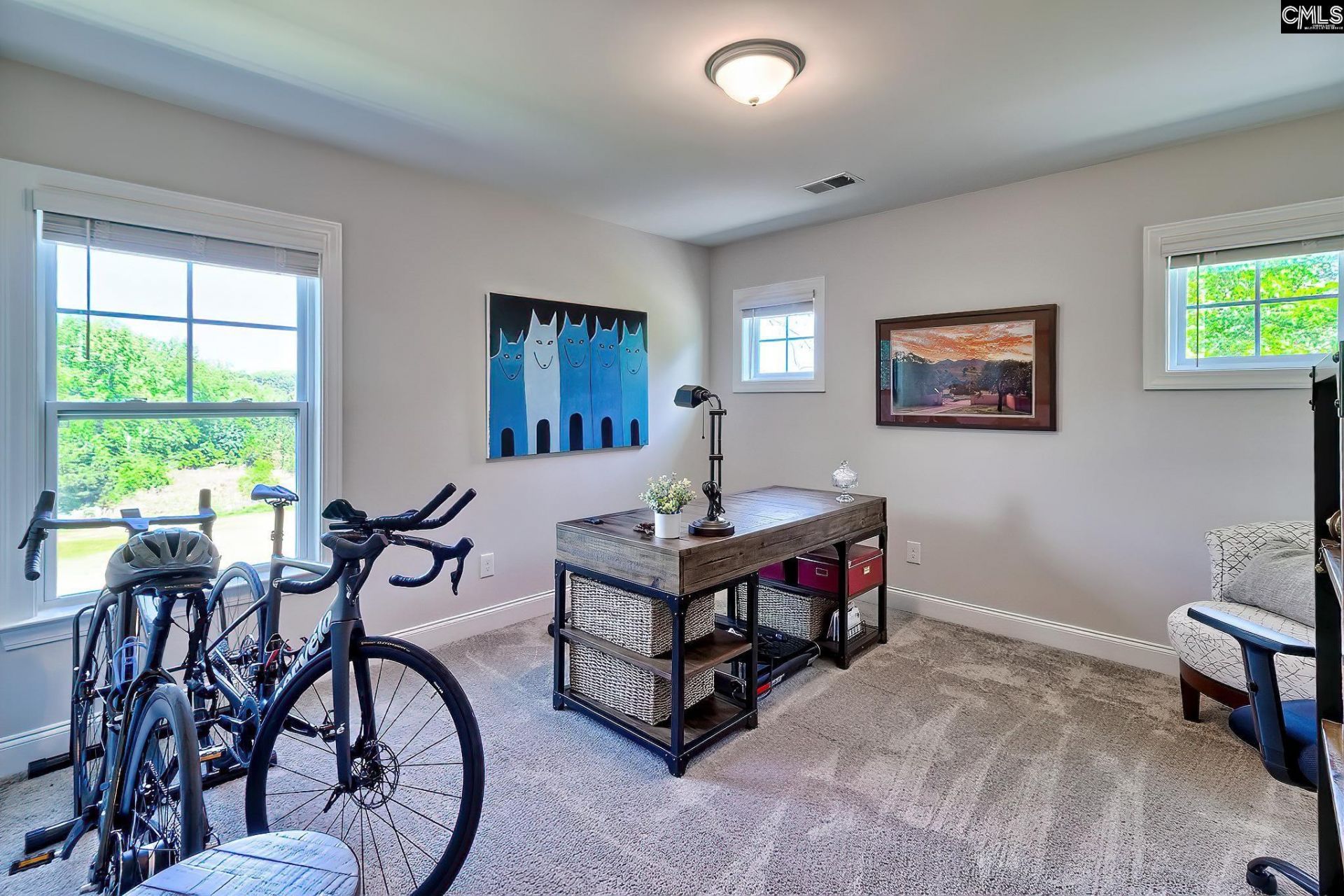 5030 Lincoln Reece Lane Photo 14