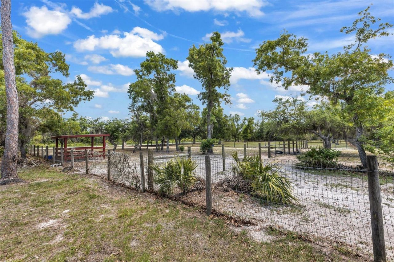 31331 Washington Loop Road, Punta Gorda, FL 33982 Photo