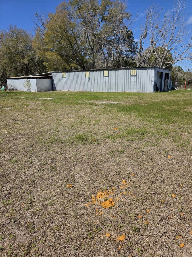 5950 NE Highway 41, Williston, FL 32696 Photo