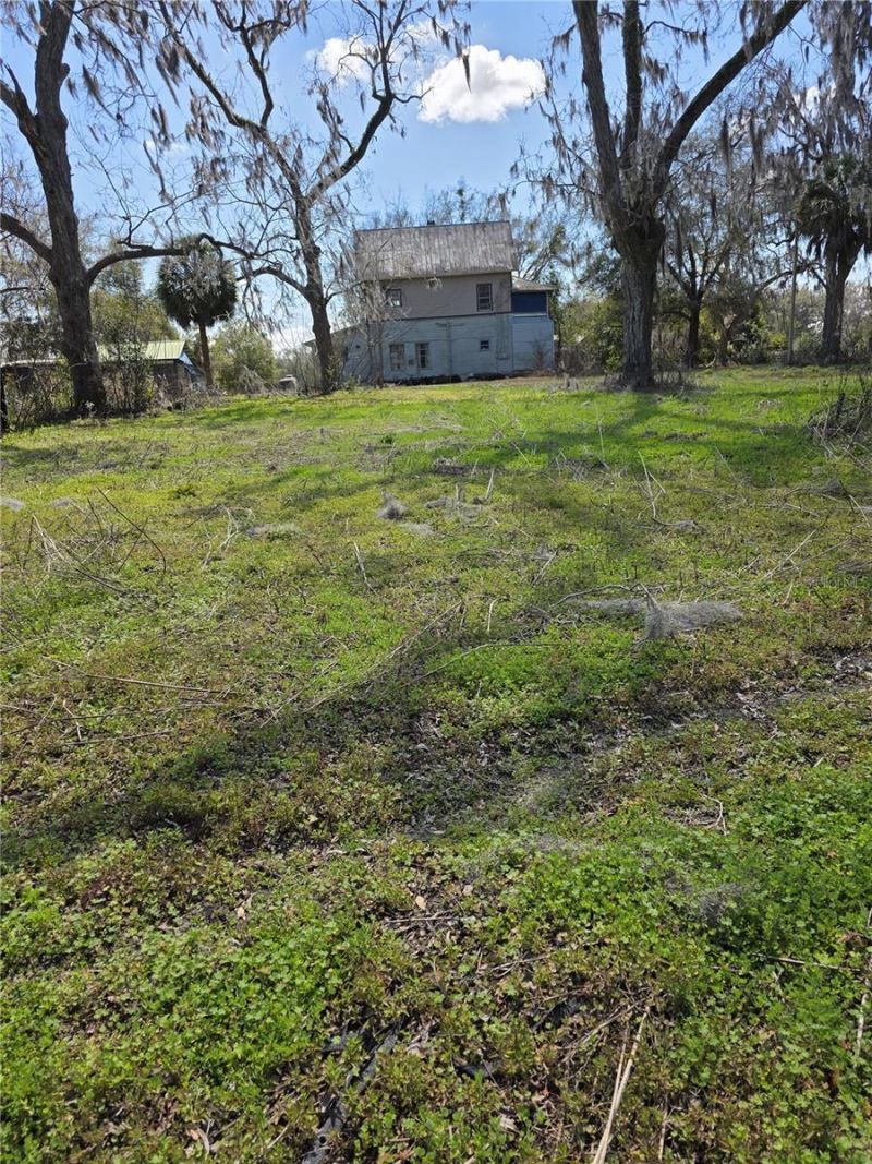 5950 NE Highway 41, Williston, FL 32696 Photo