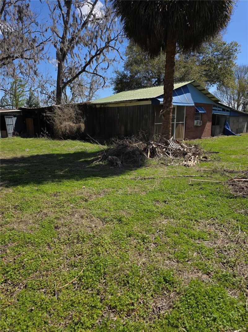 5950 NE Highway 41, Williston, FL 32696 Photo