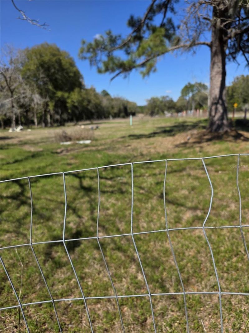 5950 NE Highway 41 , Williston, FL 32696 Photo