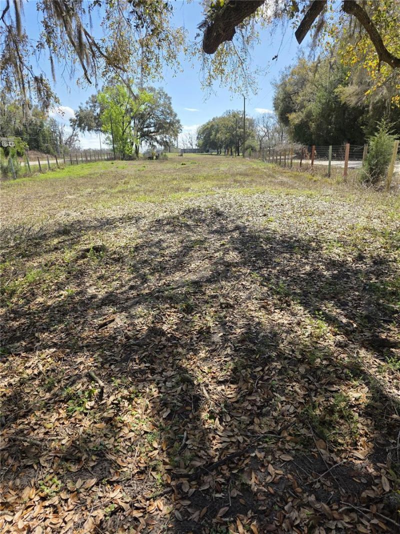 5950 NE Highway 41, Williston, FL 32696 Photo