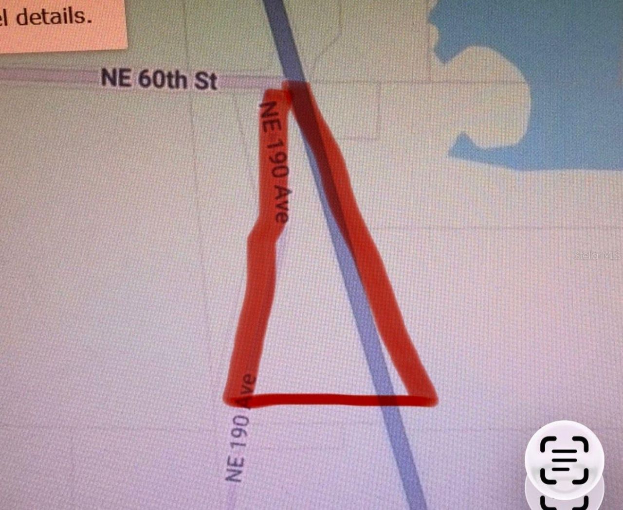 5950 NE Highway 41, Williston, FL 32696 Photo