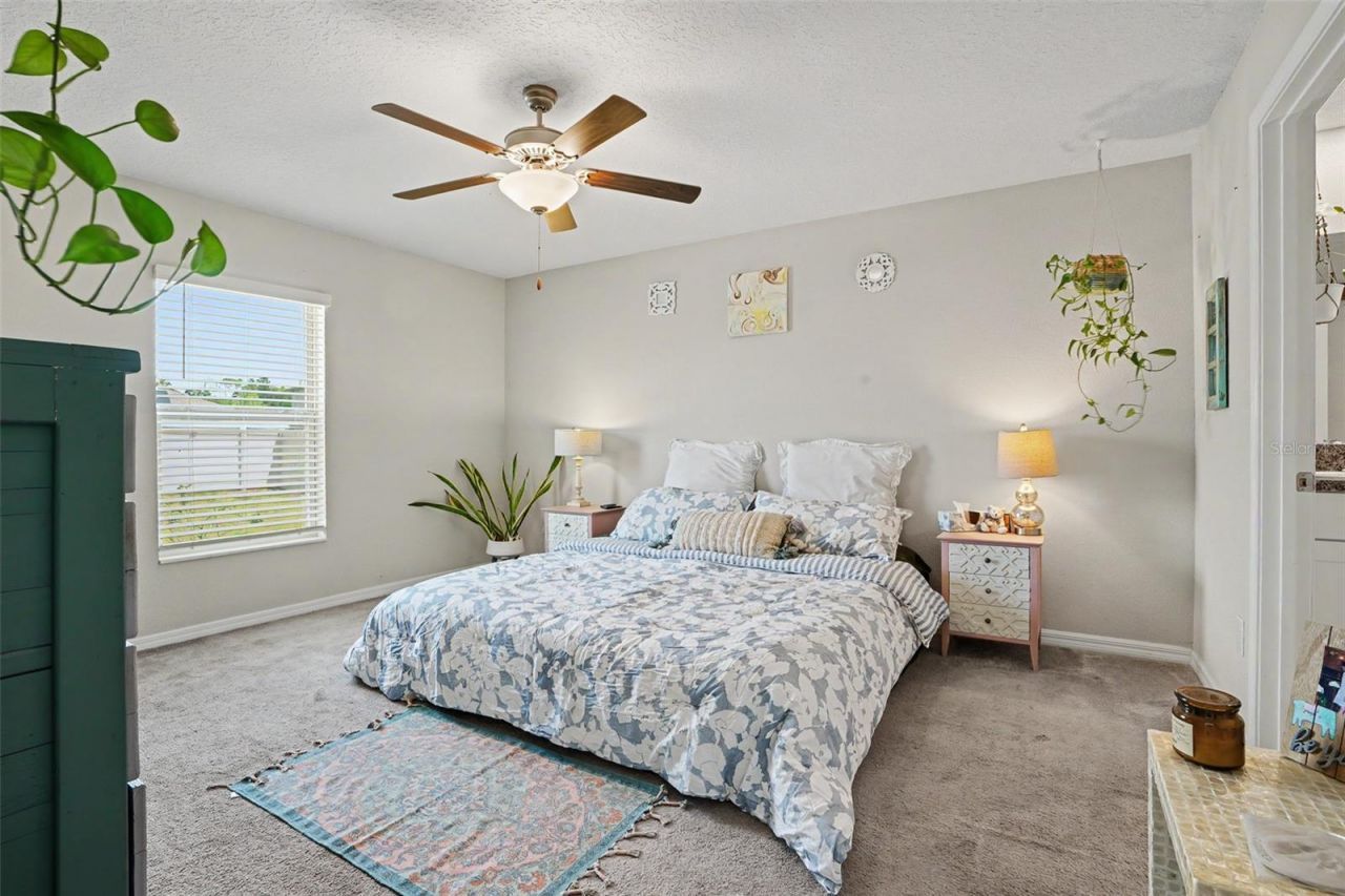 6671 Mineral Springs Road , New Port Richey, FL 34653 Photo