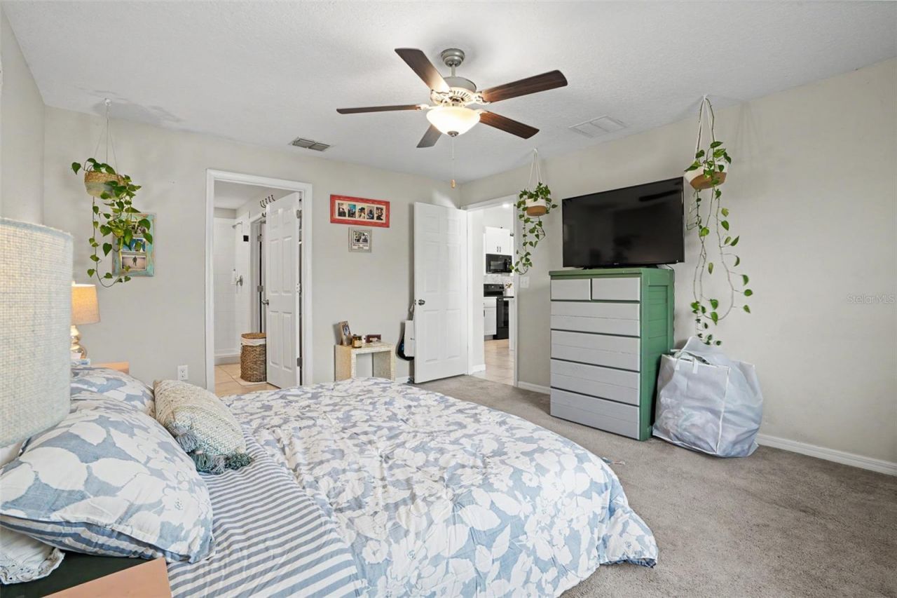 6671 Mineral Springs Road , New Port Richey, FL 34653 Photo