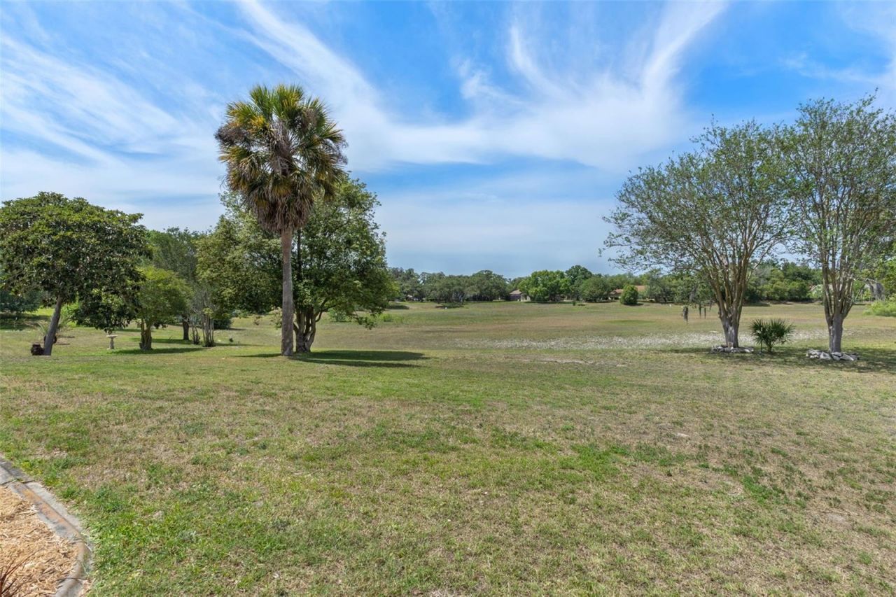 18652 Autumn Lake Boulevard, Hudson, FL 34667 Photo