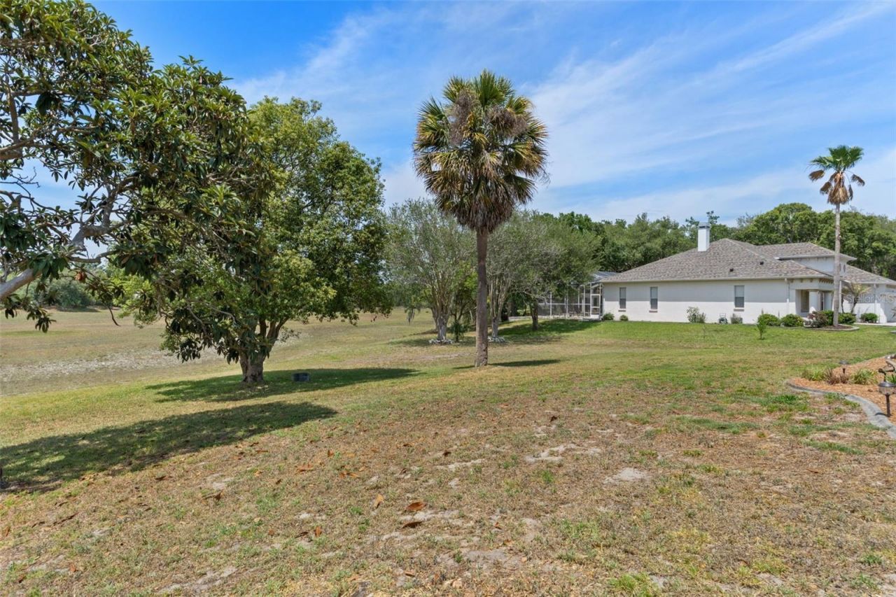 18652 Autumn Lake Boulevard, Hudson, FL 34667 Photo