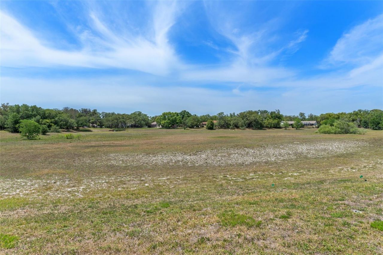 18652 Autumn Lake Boulevard, Hudson, FL 34667 Photo