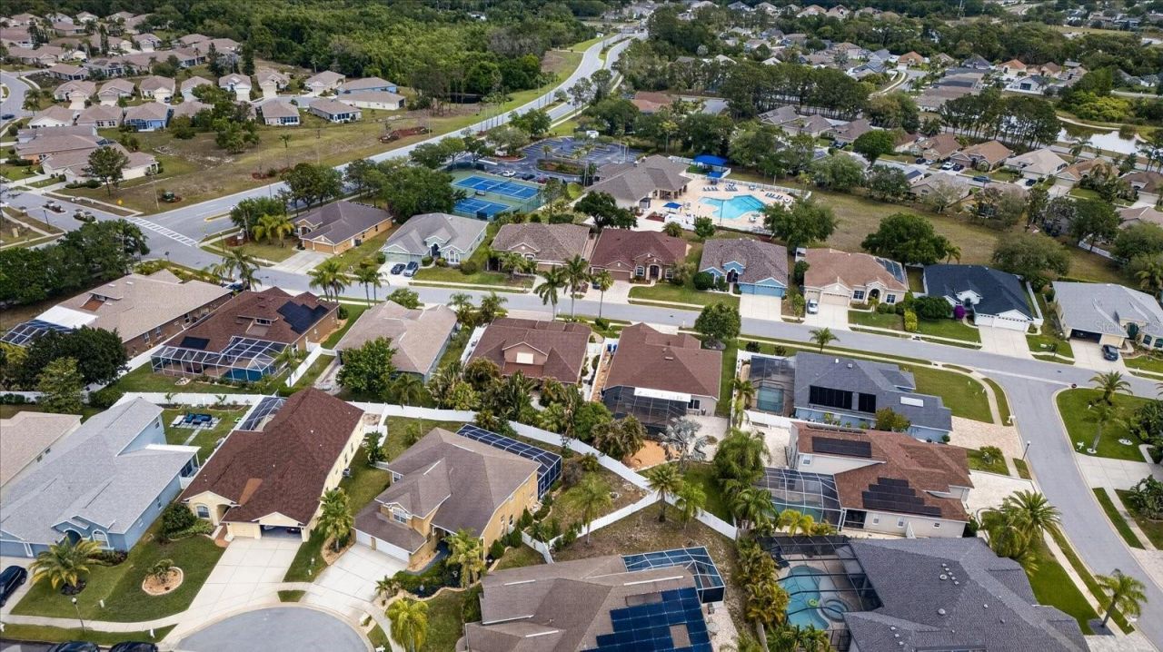 2638 Jays Nest Lane, Holiday, FL 34691 Photo