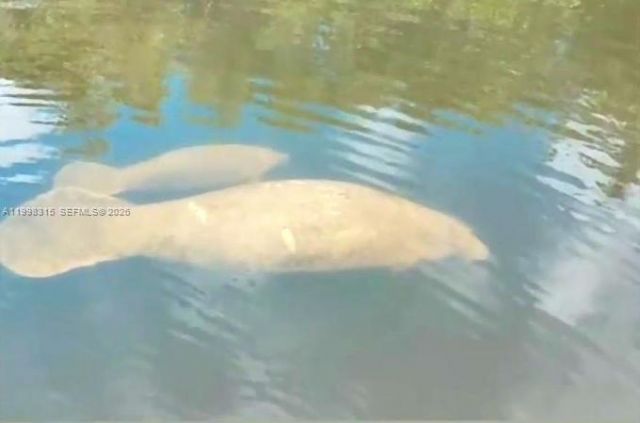 3043 Hayes Street , Hollywood, FL 33021 Photo