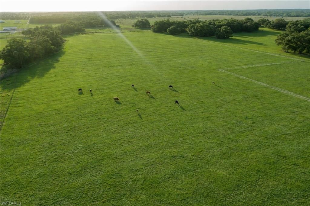 515 Norris Rd, Fort Denaud, FL 33935 Photo