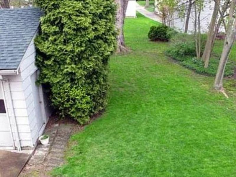 1715 Edgefield Road, Lyndhurst, OH 44124 Photo 4