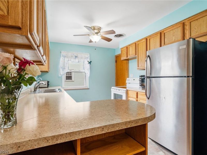 222 Montrose Avenue NW, Canton, OH 44708 Photo 19