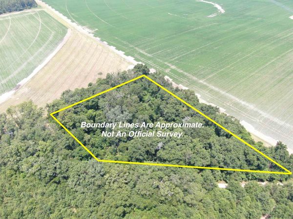 Vacant NE Chervil Drive, Lee, FL 32059
