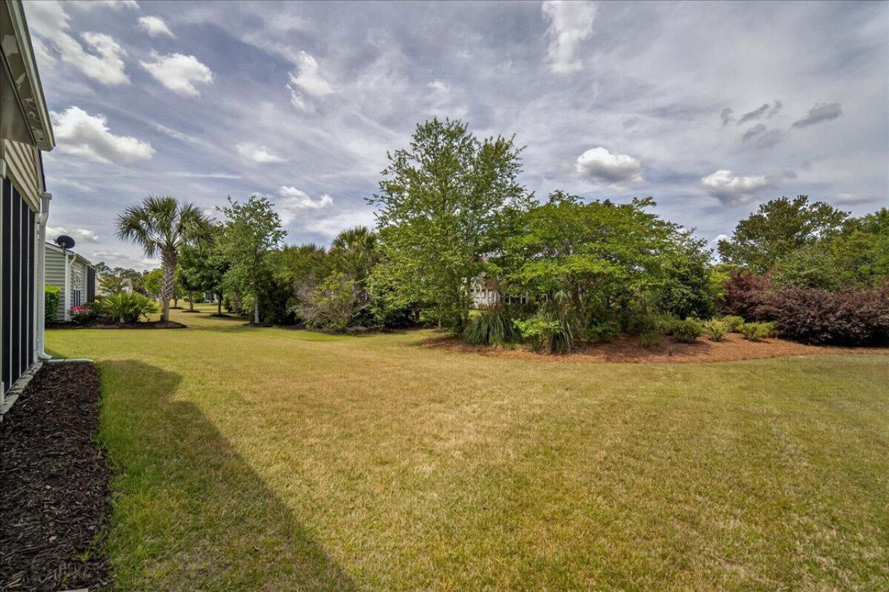 369 Waterlily Way Photo 39