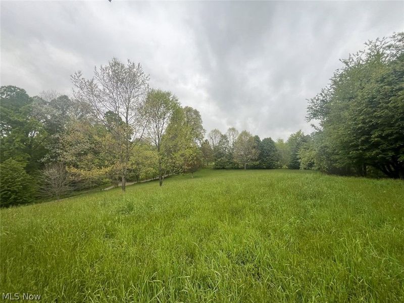 87085 Crall Road, Scio, OH 43988 Photo 10