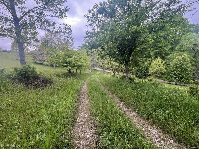 87085 Crall Road, Scio, OH 43988 Photo 12