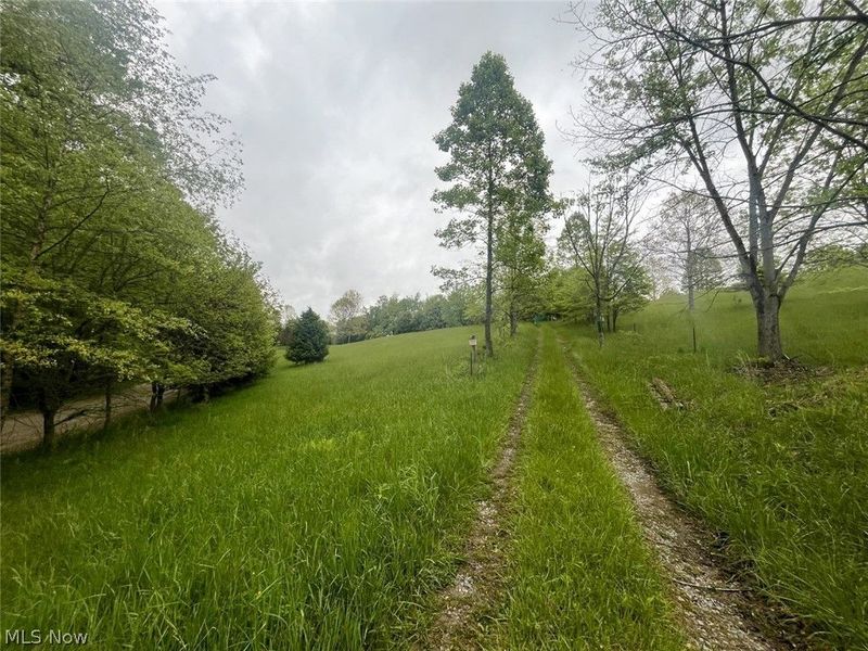 87085 Crall Road, Scio, OH 43988 Photo 13