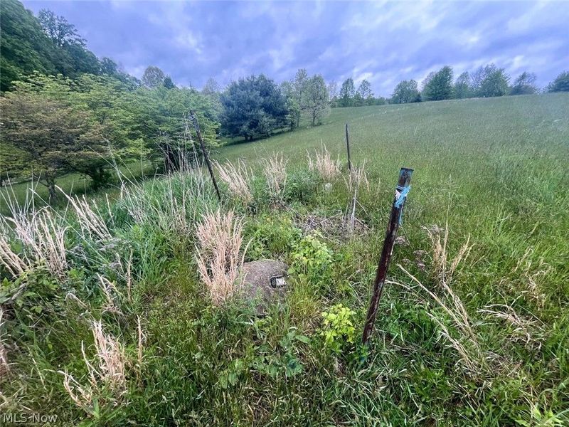 87085 Crall Road, Scio, OH 43988 Photo 14