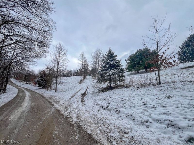 87085 Crall Road , Scio, OH 43988 Photo 17