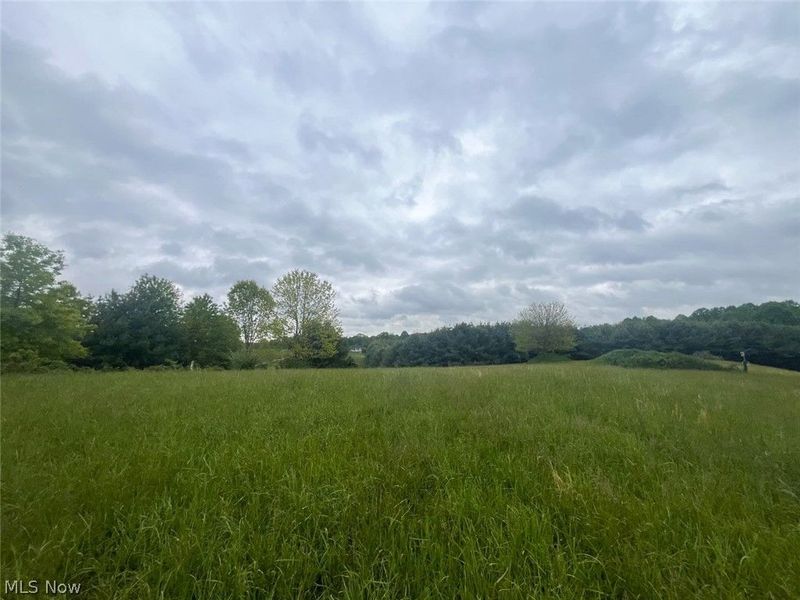 87085 Crall Road, Scio, OH 43988 Photo 2