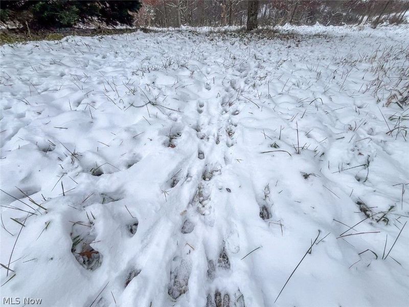 87085 Crall Road , Scio, OH 43988 Photo 21